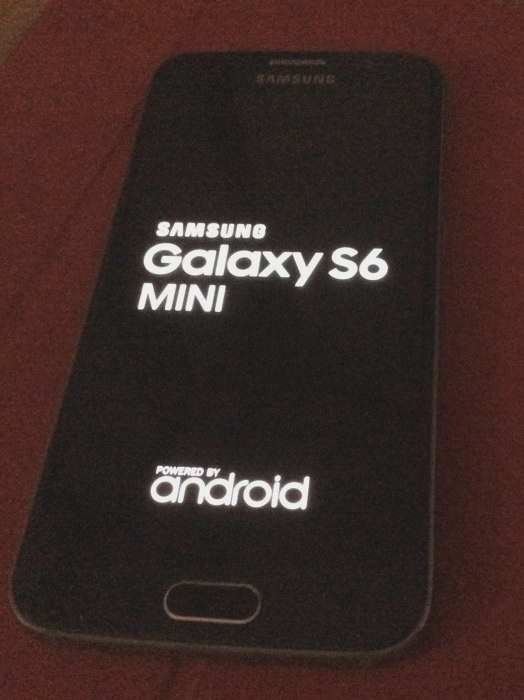 Samsung-Galaxy-S6-Mini-2