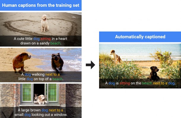 google-show-and-tell-image-recognition
